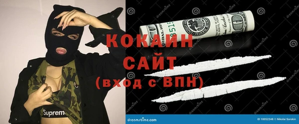 трава Белокуриха