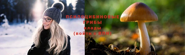 трава Белокуриха