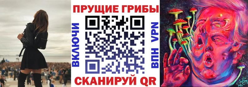 Псилоцибиновые грибы GOLDEN TEACHER  купить наркоту  ссылка на мегу рабочий сайт  Чудово 