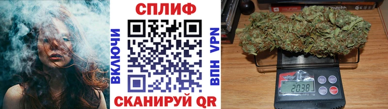 Шишки марихуана Amnesia  Чудово 